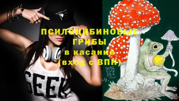 прущие крисы Карпинск