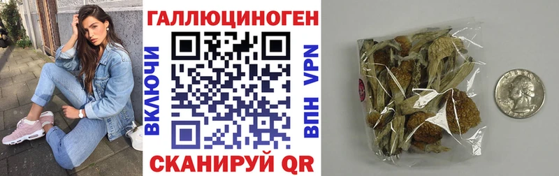 Купить где  Жирновск  Псилоцибиновые грибы GOLDEN TEACHER 